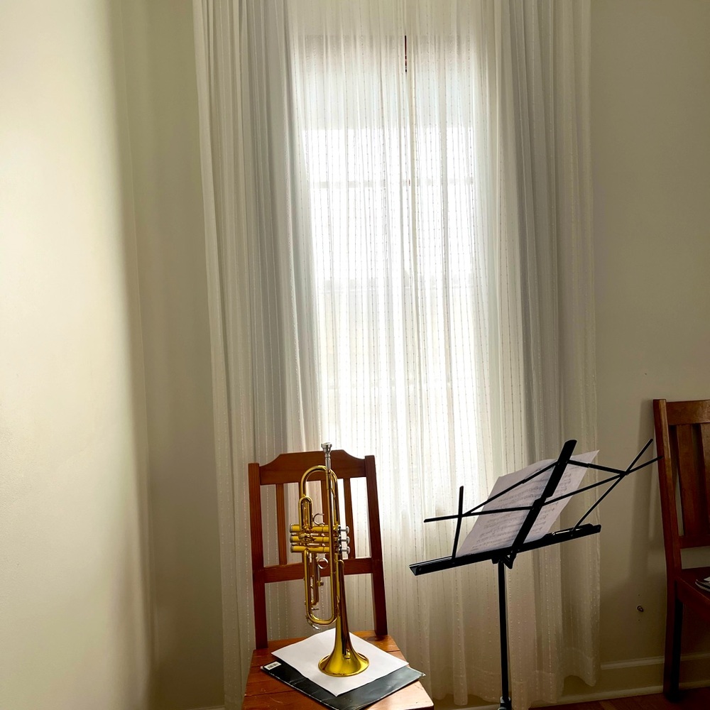 Sheer cotton curtains, set a four panels